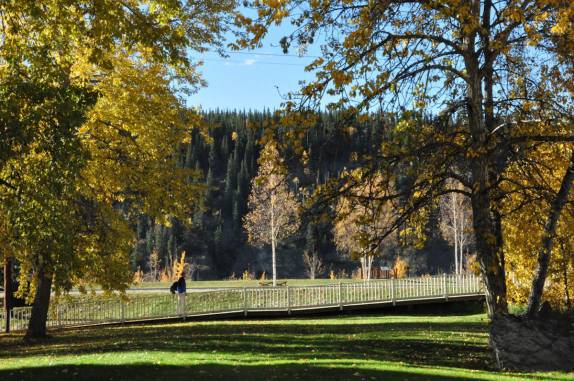 Caminhando em parque de Dawson City, no Yukon Territory, noroeste do Canadá